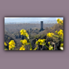 E_BOMARZO-TORREDICHIA-089.jpg